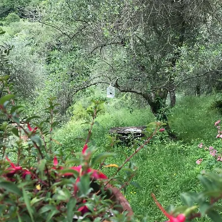 بيت للعطل Casa Oliva Pieve di Teco